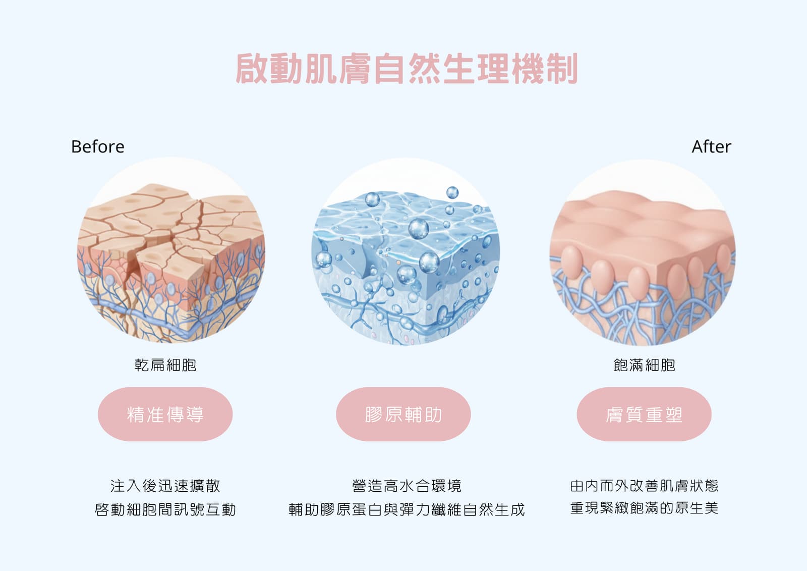 啟動肌膚機制
